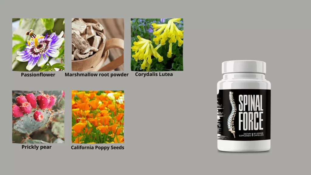 Spinal Force Ingredients
